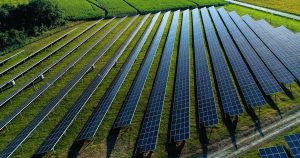 2024 Informed: The green revolution