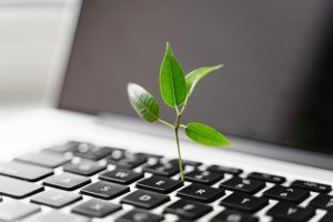 a leaf on a laptop