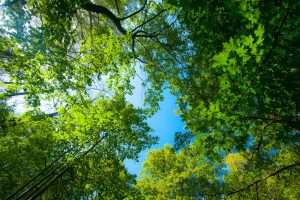 Powering change: Putting data at the heart of sustainability