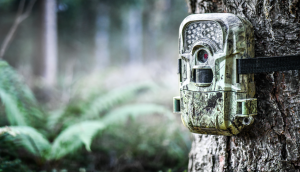 From conservation to construction: sector-specific decarbonisation with AI