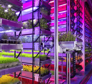 UK Space Agency awards grant to grow food in space