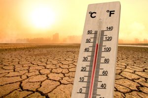Big Tech enables climate disinformation, report finds