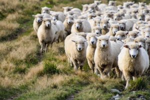 Defra migrates to the cloud with renewed partnership