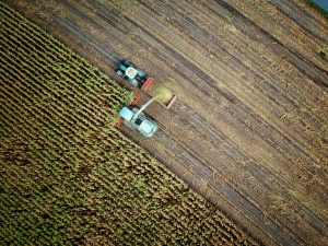 New AI accelerator to boost agrifood innovation